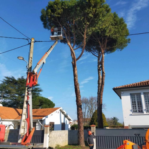 téléchargement (1)