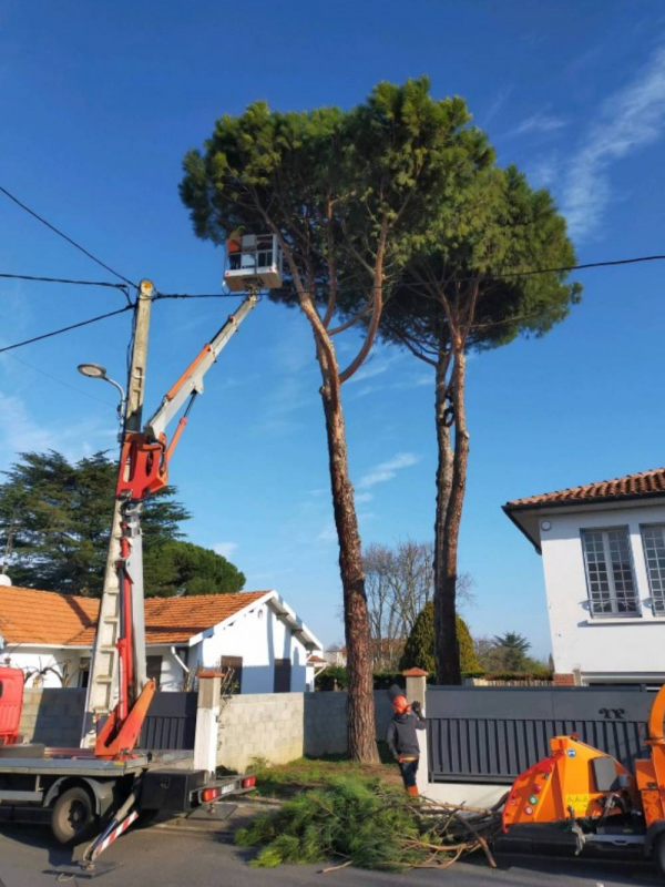 téléchargement (1)