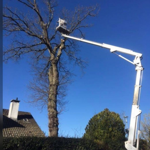 téléchargement